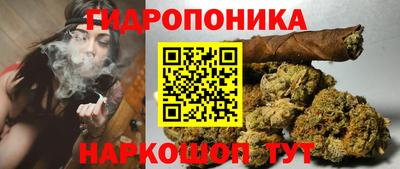 PSILOCYBIN Кунгур