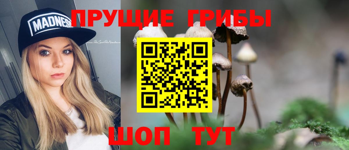 Псилоцибиновые грибы мицелий  Вход с VPN  цена   Камышлов 