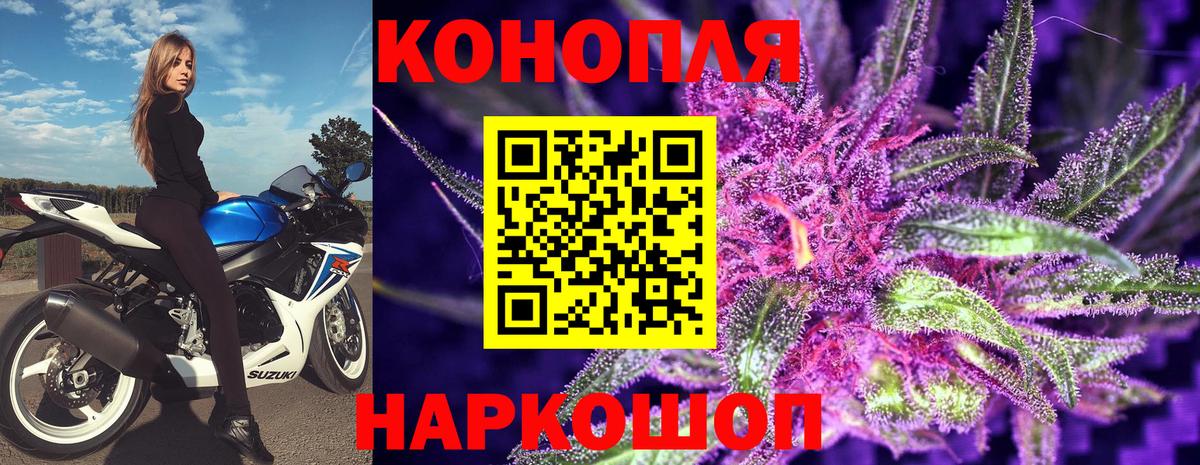 Бошки марихуана планчик  Вход с VPN  Марихуана THC 21%  Канабис SATIVA & INDICA  Камышлов 